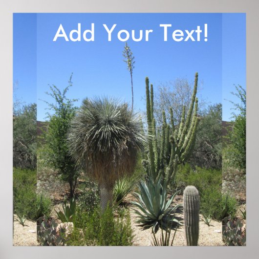 Cactus Garden Poster (Voorkant)