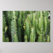 Cactus Garden Poster (Voorkant)