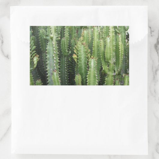 Cactus Garden Rechthoekige Sticker (Tas)