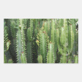 Cactus Garden Rechthoekige Sticker (Voorkant)