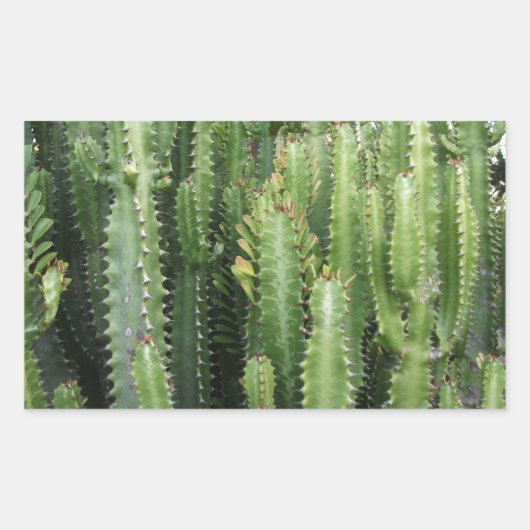 Cactus Garden Rechthoekige Sticker (Voorkant)