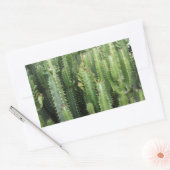 Cactus Garden Rechthoekige Sticker (Envelop)