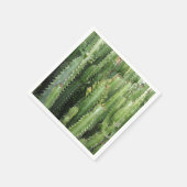 Cactus Garden Servet (Hoek)