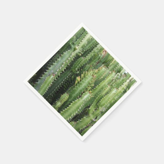 Cactus Garden Servet (Hoek)