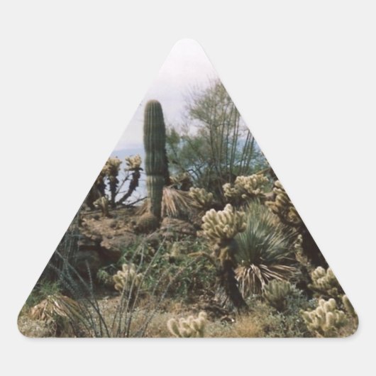 Cactus Garden Sticker (Voorkant)