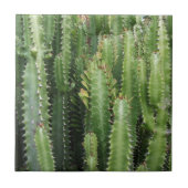 Cactus Garden Tegeltje (Voorkant)