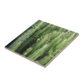 Cactus Garden Tegeltje (Zijkant)