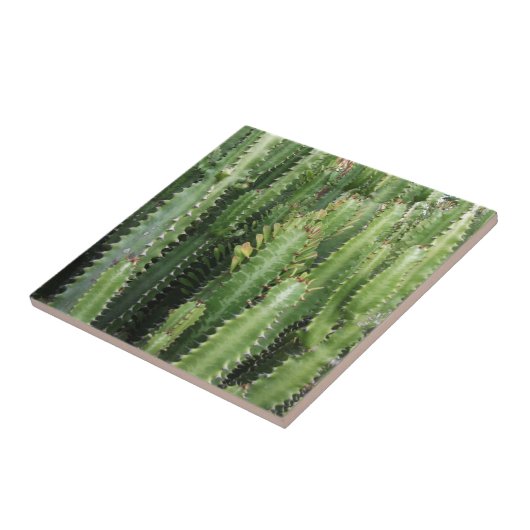 Cactus Garden Tegeltje (Zijkant)