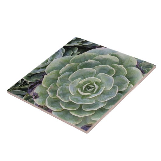 Cactus Garden Tegeltje (Zijkant)