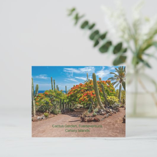 Cactus Garen, Fuerteventura, Canarische Eilanden, Briefkaart (Staand voorkant)