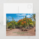 Cactus Garen, Fuerteventura, Canarische Eilanden, Briefkaart (Voorkant / Achterkant)