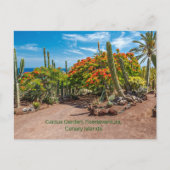 Cactus Garen, Fuerteventura, Canarische Eilanden, Briefkaart (Voorkant)