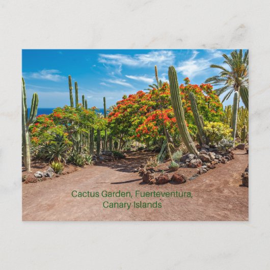 Cactus Garen, Fuerteventura, Canarische Eilanden, Briefkaart (Voorkant)