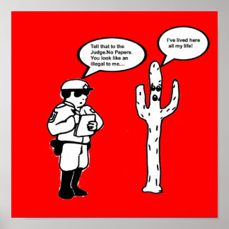 CACTUS GEBRUIKEN POSTER