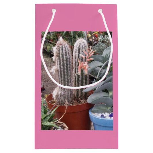 Cactus Gift Bag Klein Cadeauzakje (Achterkant)