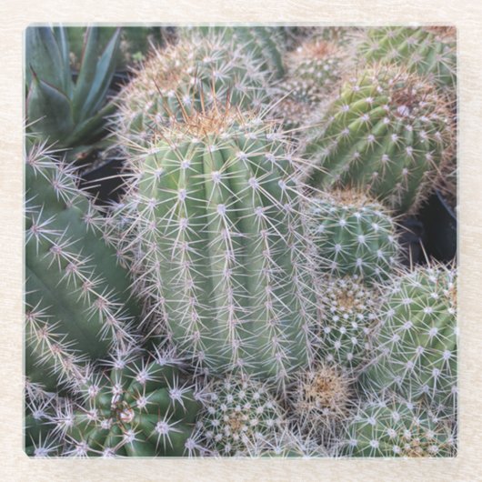 Cactus Glass Onderzetter (Voorkant)
