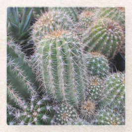 Cactus Glass Onderzetter Glazen Onderzetter