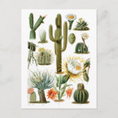  Cactus Grafiek Briefkaart (Voorkant)