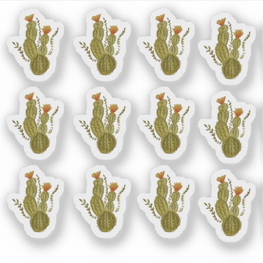 Cactus handgeschilderde elegante groene plant sticker (Voorkant)