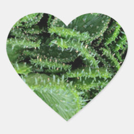 Cactus Hart Sticker