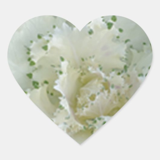 Cactus Hart Sticker (Voorkant)