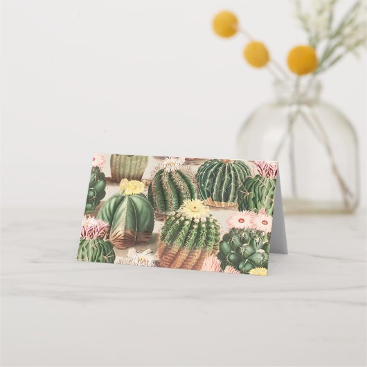Cactus Illustration Place Card Plaatskaartje (Voorkant)
