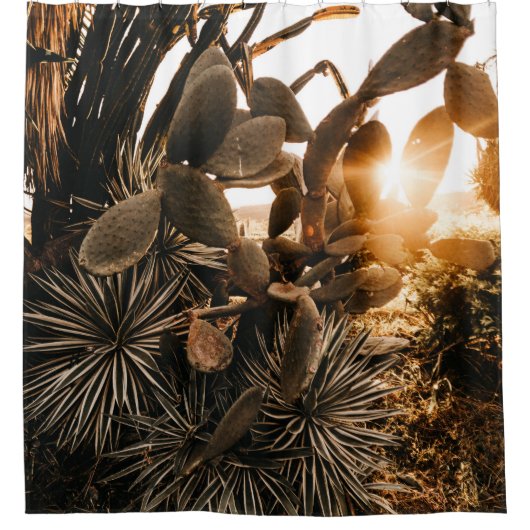 CACTUS IN DE MORGEN DOUCHEGORDIJN (Voorkant)