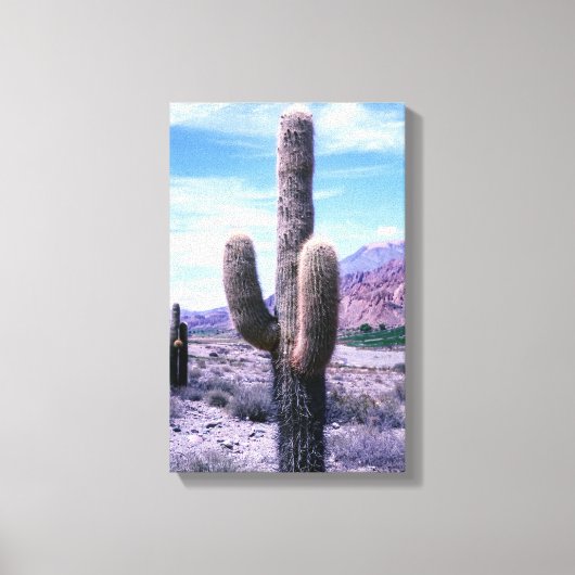Cactus in de provincie Jujuy - Noord-Argentinië Canvas Afdruk (Voorkant)