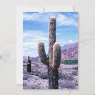Cactus in de provincie Jujuy - Noord-Argentinië Kaart