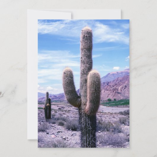 Cactus in de provincie Jujuy - Noord-Argentinië Kaart (Voorkant)