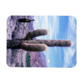 Cactus in de provincie Jujuy - Noord-Argentinië Magneet (Horizontaal)