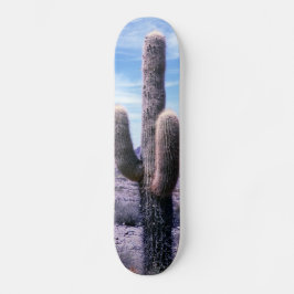 Cactus in de provincie Jujuy - Noord-Argentinië Persoonlijk Skateboard