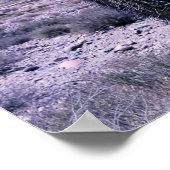 Cactus in de provincie Jujuy - Noord-Argentinië. Poster (Hoek)