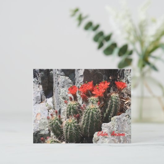 Cactus in de Rock Briefkaart (Staand voorkant)