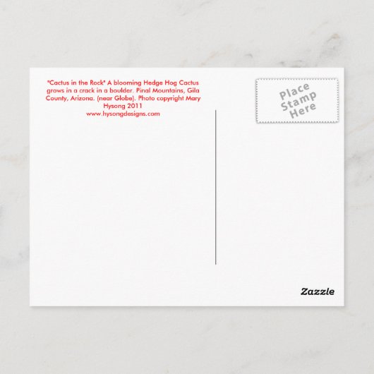 Cactus in de Rock Briefkaart (Achterkant)