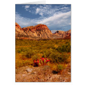 Cactus in de woestijn, zuidwesten, blanco binnenin (Voorkant)