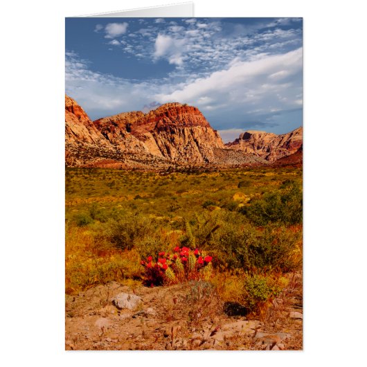 Cactus in de woestijn, zuidwesten, blanco binnenin (Voorkant)