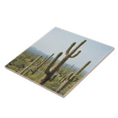 Cactus in het Nationaal Park Saguaro, Arizona 2 Tegeltje (Zijkant)