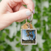 Cactus in het Nationaal Park Saguaro, Arizona Sleutelhanger (Hand)