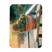 Cactus in het zonlicht magneet (Verticaal)