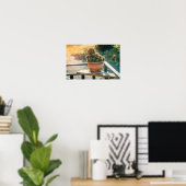 Cactus in het zonlicht poster (Thuiskantoor)