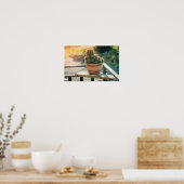 Cactus in het zonlicht poster (Keuken)