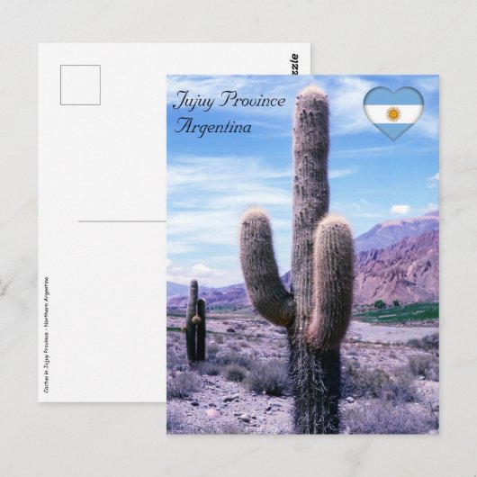 Cactus in Jujuy Provincie - Noord-Argentinië Briefkaart (Voorkant / Achterkant)
