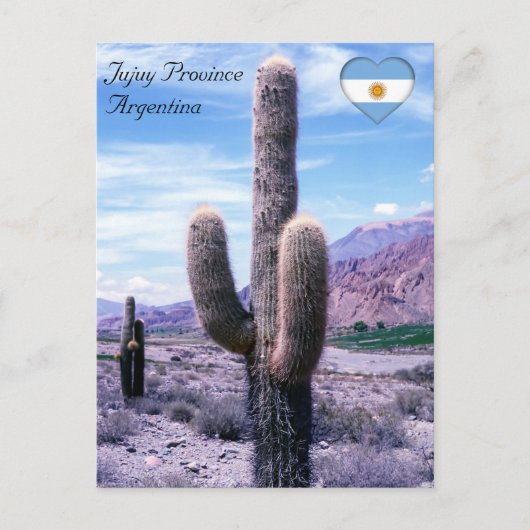 Cactus in Jujuy Provincie - Noord-Argentinië Briefkaart (Voorkant)