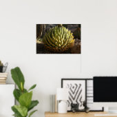 Cactus in Morning Light Poster (Thuiskantoor)