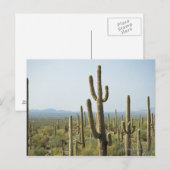 Cactus in Nationaal Park Saguaro, Arizona 2 Briefkaart (Voorkant / Achterkant)