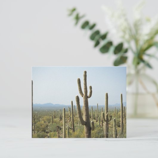 Cactus in Nationaal Park Saguaro, Arizona 2 Briefkaart (Staand voorkant)