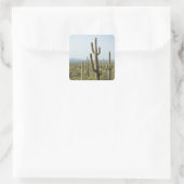 Cactus in Nationaal Park Saguaro, Arizona 2 Vierkante Sticker (Tas)
