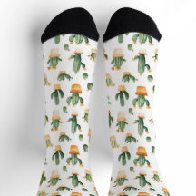 Cactus in pot op wit