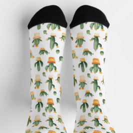 Cactus in pot op wit sokken